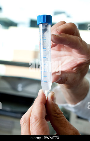 Campione scientifico capsule contenenti un parassita Hookworm presso l' Università di Nottingham. Foto:Jeff Gilbert Foto Stock
