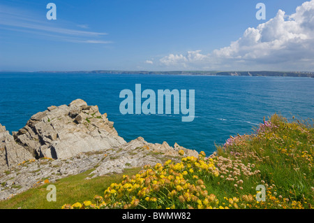 Towan testa all'estremità nord di Fistral bay, Newquay, Cornwall, Inghilterra, GB, Regno Unito e Unione europea, Europa Foto Stock