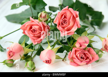 Bouquet di mini rosa rose spray Foto Stock