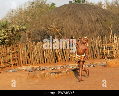 Zulu Warrior gettando una lancia, Zulu Shakaland Village, Valle Nkwalini, Kwazulu Natal, Sud Africa. Foto Stock