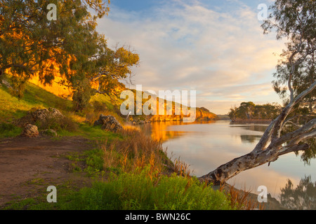 Sunrise su scogliere dorate sul fiume Murray a prua collina vicino Mannum Sud Australia Foto Stock