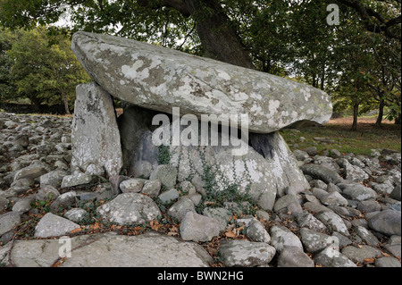 Dyffryn Ardudwy 6000 anni megalitici preistorici dolmen tomba. Western camera di sepoltura in Long Barrow cairn. Gwynedd Wales, Regno Unito Foto Stock