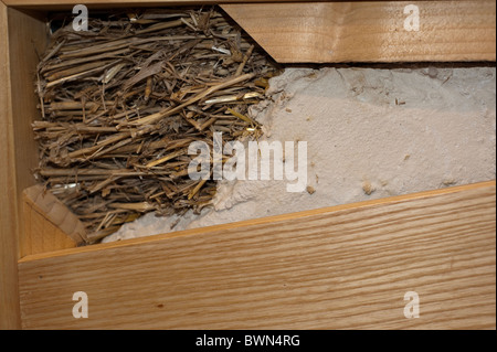 Home miglioramenti 'Salon Batir Ecologique', prodotti Green Building, Natural Straw Home isolamento, dettaglio, efficienza energetica, dettaglio, Display Foto Stock