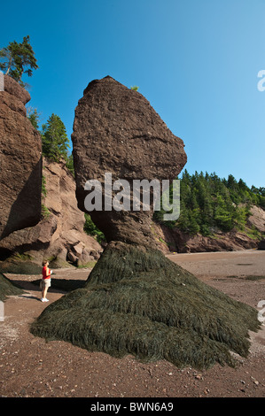 New Brunswick, Canada. Hopewell rocce e l'oceano di marea Sito di esplorazione. Foto Stock