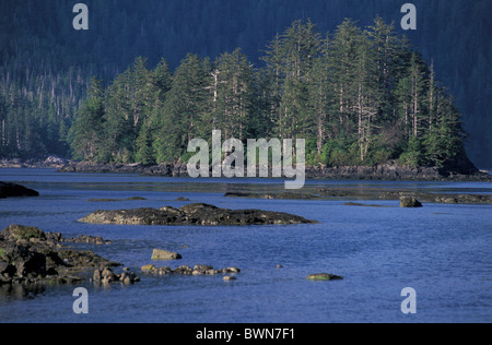 Canada America del Nord America Houston Stewart canale vicino porto Rose Queen Charlotte Islands British Columbia s Foto Stock