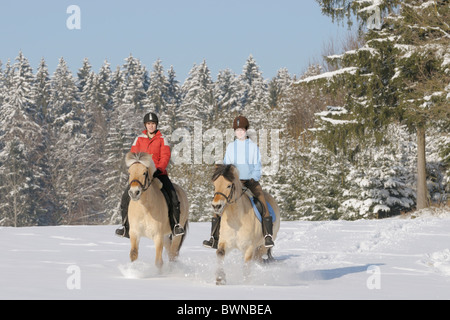 Due giovani piloti durante una corsa in bici in inverno sul retro dei cavalli norvegese Foto Stock