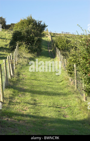 La ricerca di una ripida salita alla collina a lancia dal fondo di Vacca - South Downs National Park. Foto Stock