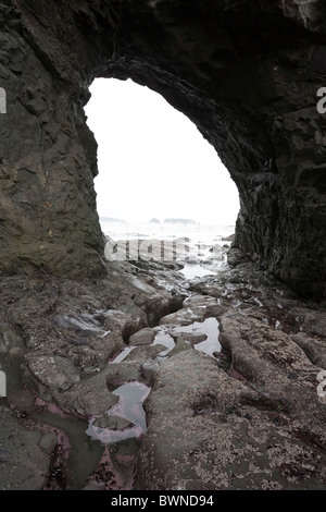 Foro-in-Wall, Rialto Beach - Parco nazionale di Olympic, Washington Foto Stock