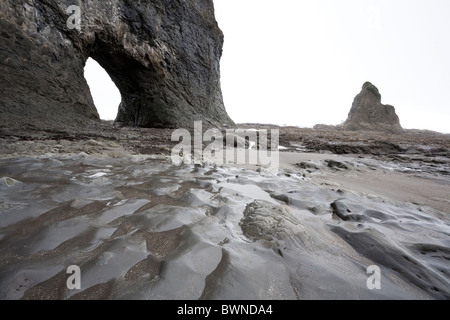 Foro-in-Wall, Rialto Beach - Parco nazionale di Olympic, Washington Foto Stock