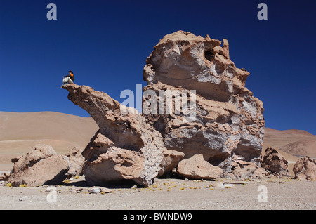 Il Cile America del Sud Monjes de la Pacana Altiplano vicino a San Pedro de Atacama montagne delle Ande Antofagasta landsca Foto Stock