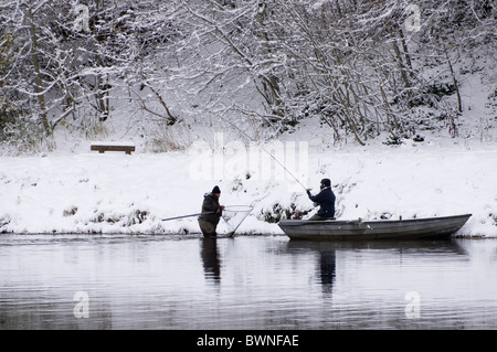 Pescatore di salmone e ghillie sul fiume Tweed a Kelso ultimo weekend di stagione - ghillie netting un grande salmone per il pescatore Foto Stock