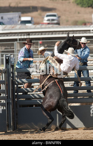 SAN DIMAS, CA - 2 ottobre: Cowboy Monty Schaack compete in sella Bronc evento presso il San Dimas Rodeo il 2 ottobre 2010. Foto Stock