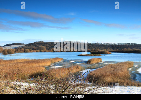 Attenborough riserva naturale Foto Stock