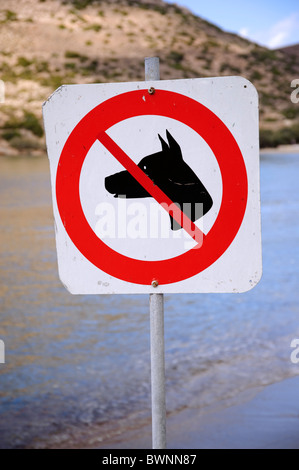 'Non sono ammessi cani ' segno vicino alla spiaggia di Galissas, sul Greco Cyclade isola di Syros. Foto Stock