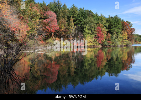 Autunno colori e riflessi, Walden Pond, Concord, Massachusetts, STATI UNITI D'AMERICA Foto Stock