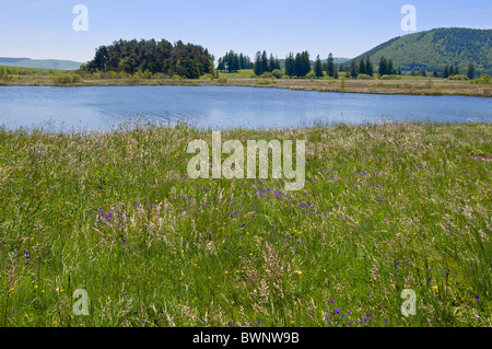 Bourdouze tarn , Auvergne Francia Foto Stock