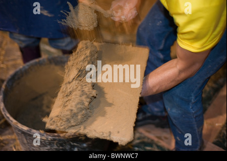 Miglioramenti Home, 'salon Batir Ecologique', Green Building Products, applicazione di fango alle pareti di paglia Foto Stock