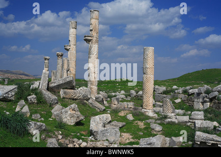 Città romana Apamea Siria erba verde Medio Oriente antico vecchia architettura Archeologia sito Storia colonna c Foto Stock