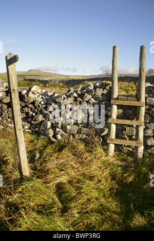 Scaletta in legno stile e segnaletica, guardando verso il vertice distanti di Pen-y-Ghent, Yorkshire Dales, Inghilterra. Foto Stock