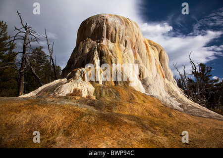 Mammoth arancione del tumulo di Primavera nel Parco Nazionale di Yellowstone - USA Foto Stock