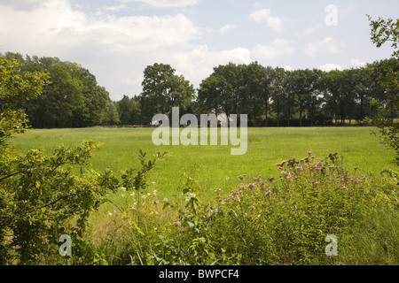 Il paesaggio della station wagon Verwolde, Laren, Gelderland, Paesi Bassi Foto Stock