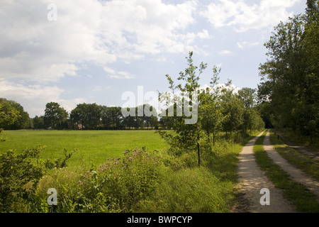 Il paesaggio della station wagon Verwolde, Laren, Gelderland, Paesi Bassi Foto Stock