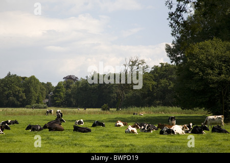 Il paesaggio della station wagon Verwolde, Laren, Gelderland, Paesi Bassi Foto Stock