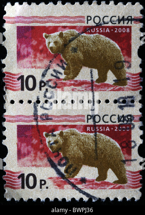 RUSSIA - circa 2008: un timbro stampato in Russia mostra orso bruno - Ursus arctos, circa 2008 Foto Stock