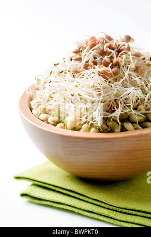 Ciotola di Mung bean e germogli di lenticchie Foto Stock