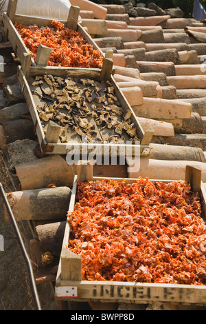 La Turchia Aydin Provincia Sirince Foto Stock