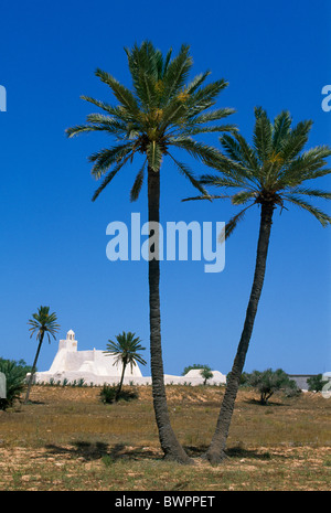 La Tunisia isola di Djerba moschea Fadhloun Africa Africa del nord del mediterraneo sulla costa del mare isola moschea Fadhloun Rel Foto Stock
