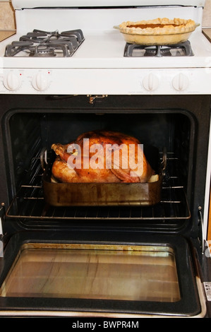 Una casalinga torta di zucca si raffredda sulla stufa mentre un grande turchia arrosti in forno. Foto Stock