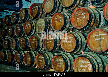 Barili di legno porta di invecchiamento del vino in una cantina o grotta in Vila Nova de Gaia attraverso il fiume Douro da Oporto (Porto), Portogallo Foto Stock