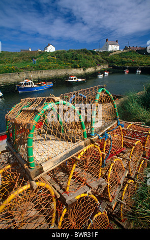 Una vista di Seaton Sluice porto con barche ormeggiate, Northumberland Coast Foto Stock