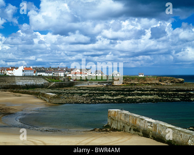 Una vista in estate di Cullercoats Porto e villaggio in North Tyneside Foto Stock