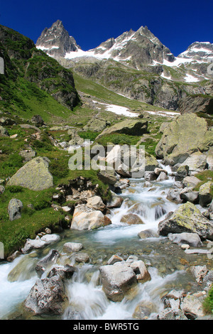 Svizzera Europa Canton Uri Wendenhorn Funffingerstock e Wasenhorn Susten Pass estate area Switzerl centrale Foto Stock