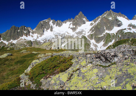 Svizzera Europa Canton Uri Wendenhorn Funffingerstock e Wasenhorn Susten Pass estate area Switzerl centrale Foto Stock