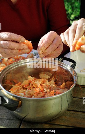 Womans stacca gamberi over messo fuori Foto Stock
