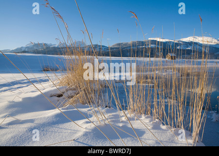 Svizzera Europa Schonenbodensee Snow canton San Gallo natura paesaggio paesaggio panoramico paesaggio Hut Ree Foto Stock