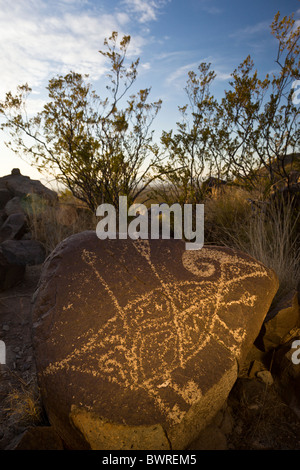 Petroglyph raffigurante la caccia di bighorn da La Jornada Mogollon a tre fiumi Petroglyph Sito, Nuovo Messico USA. Foto Stock