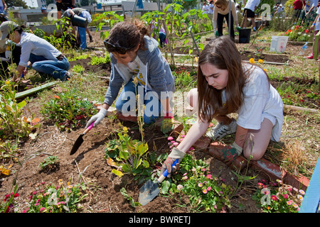 Gli studenti, i genitori e gli insegnanti lavorano sul giardino alla 24th Street School Garden sul grande domenica. West Adams, Los Angeles Foto Stock
