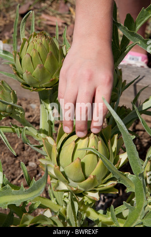 Gli studenti, i genitori e gli insegnanti lavorano sul giardino alla 24th Street School Garden sul grande domenica. West Adams, Los Angeles Foto Stock