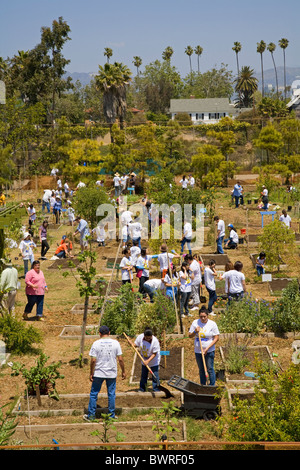 Gli studenti, i genitori e gli insegnanti lavorano sul giardino alla 24th Street School Garden sul grande domenica. West Adams, Los Angeles Foto Stock