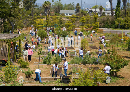 Gli studenti, i genitori e gli insegnanti lavorano sul giardino alla 24th Street School Garden sul grande domenica. West Adams, Los Angeles Foto Stock