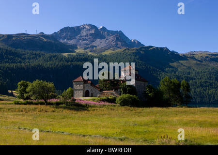 Svizzera Europa Silvaplana Cantone dei Grigioni Grigioni Grigioni Estate Alpino sulle montagne delle Alpi Engad di montagna Foto Stock