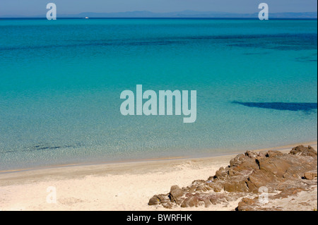 Spiaggia di Capo del Falcone nei pressi di Stintino, Sardegna, Italia Foto Stock