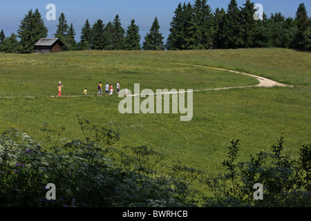 Svizzera Europa Giura Bernese all'aperto all'aperto al di fuori del paesaggio delle montagne di montagna il Cantone di Berna Berna Mou Foto Stock