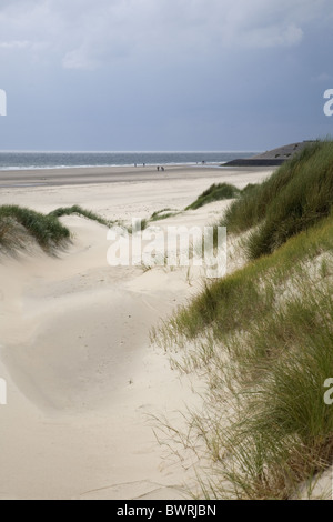 Dune esterna di Burgh-Haamstede, Schouwen-Duiveland, Zeeland (Zelanda), Paesi Bassi Foto Stock
