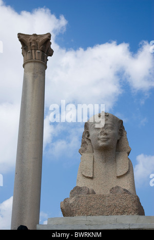 La colonna di Pompeo e di Sphinx in Alessandria Foto Stock