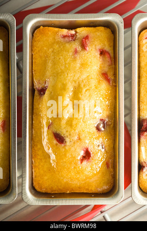 Vetrata Mini Lemon-Cranberry tè Pane. Presentati nel loro stampo di cottura su una griglia di raffreddamento. Foto Stock